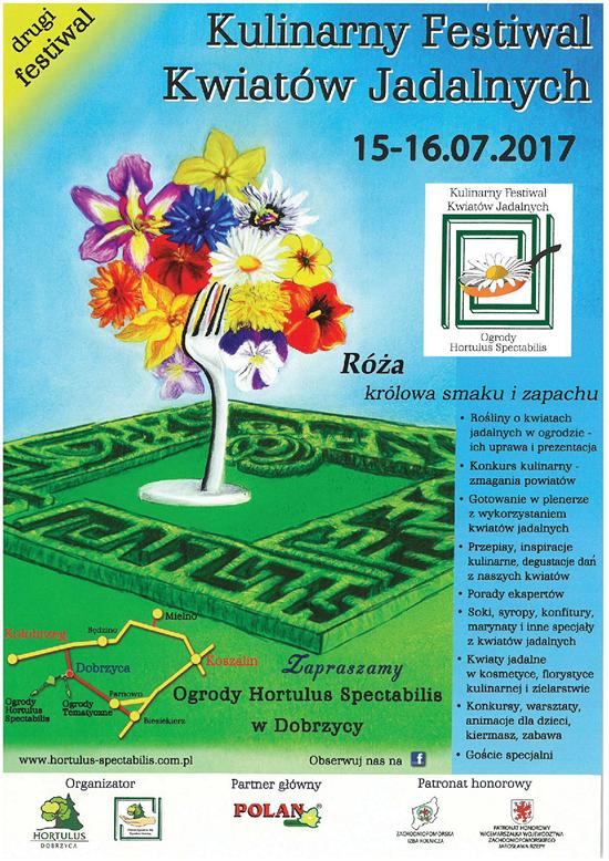 Kulinarny Festwal Kwiatów Jadalnych w Dobrzycy 2 550