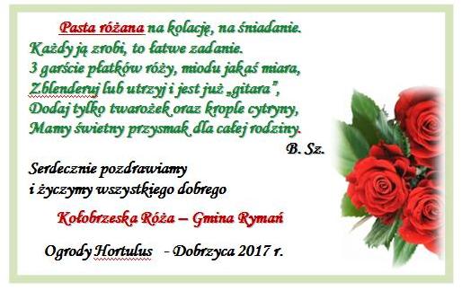 ulotka1
