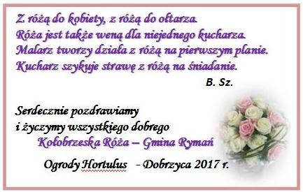 ulotka2