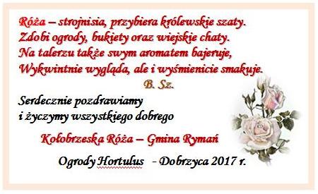 ulotka3