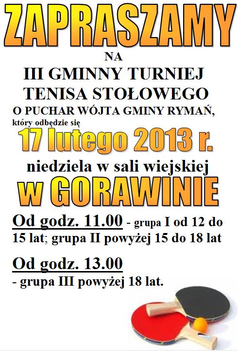 Turniej Tenisa Stolowego 17.02.2013 2